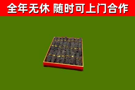雅江回收海参